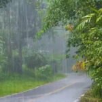 নিম্নচাপ অবস্থান বদলাচ্ছে, রাত থেকে শুরু তুমুল বৃষ্টি!
