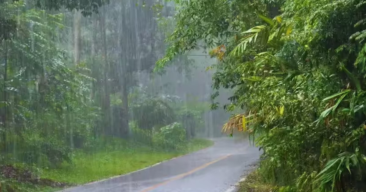 নিম্নচাপ অবস্থান বদলাচ্ছে, রাত থেকে শুরু তুমুল বৃষ্টি!